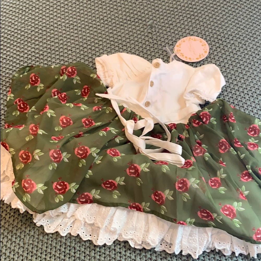 Sweet honey 18 mo dress - Picture 5 of 5